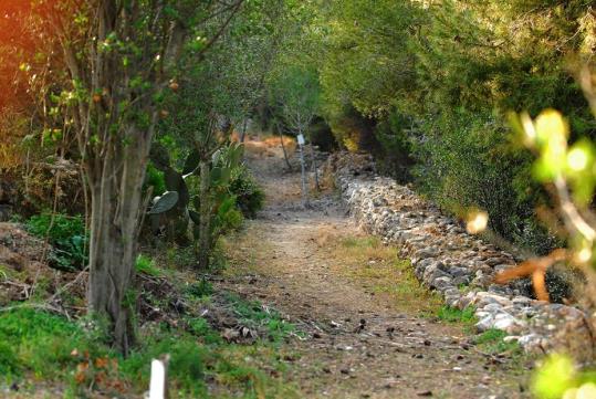 L'Ortoll, Sant Gervasi - Santa Llúcia . Eix