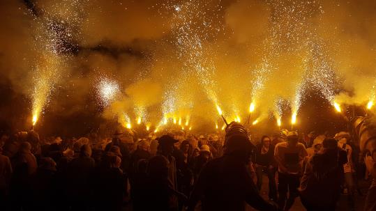 Milers de persones tornen a combatre la plaga de la fil·loxera. Festa de la Fil·loxera