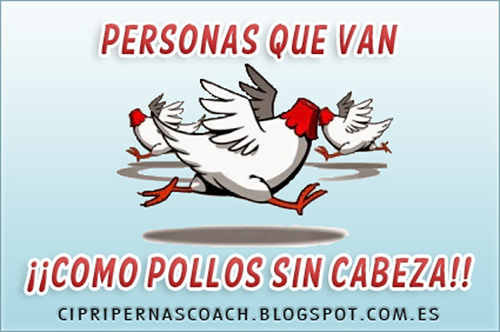 Personas que van como pollos sin cabeza. Eix