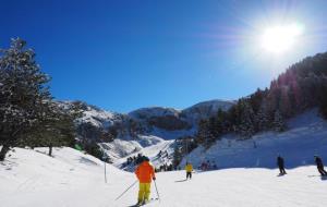 Pla general de diversos esquiadors baixant per una de les pistes de l'estació d'esquí Masella . Estació d'esquí Masella