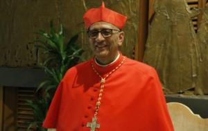Pla mitjà del cardenal Omella durant la visita de cortesia 'il calore' a l'aula Pau VI, el 28-6-17. ACN