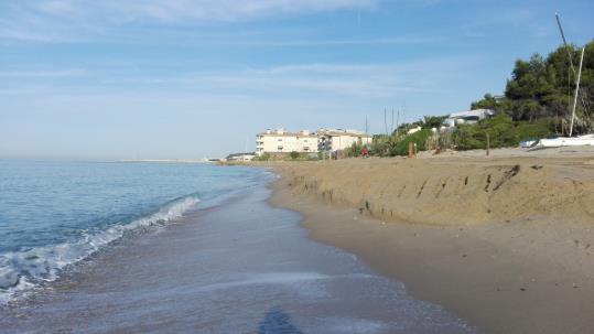 Pla obert de la platja del Francàs després dels treballs de reposició de sorra. Millorem el Francàs