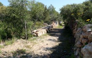 Pla obert d'un tram del camí ramader recuperat a Vilanova i la Geltrú en el marc de la recuperació de la zona verda de l'Ortoll