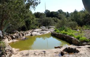 Pla obert d'una bassa recuperada enmig dels boscos de l'Ortoll, a Vilanova i la Geltrú