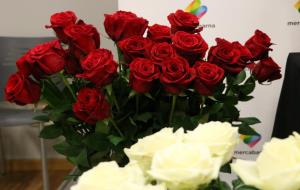 Pla tancat d'un ram de roses vermelles de la varietat Freedom, al costat de roses blanques