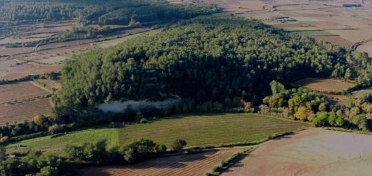 Planot de la Timba de Santa Bàrbara. Arqueovitis