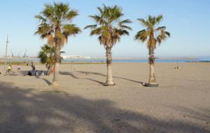 Platja de Ribes Roges. Ajuntament de Vilanova