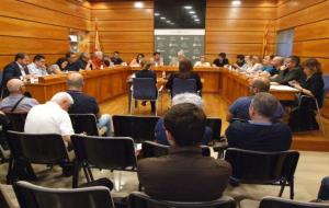 Ple municipal del Vendrell. Ajuntament del Vendrell