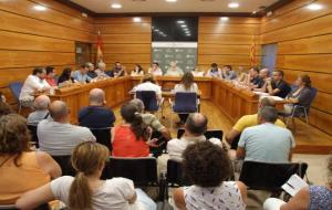 Ple municipal del Vendrell. Ajuntament del Vendrell