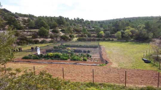 Presentació del projecte de recuperació d'espigalls al Parc del Garraf amb la Fundació Miquel Agustí . Diputació de Barcelona