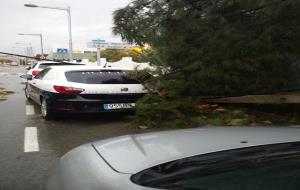 Protecció Civil manté activada l'alerta del pla Inuncat, que ha provocat inundacions de carrers, caiguda d'arbres i talls de llums al Penedès i Garraf