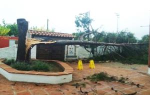 Protecció Civil manté activada l'alerta del pla Inuncat, que ha provocat inundacions de carrers, caiguda d'arbres i talls de llums al Penedès i Garraf