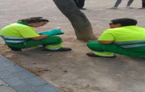 Prova pilot a la plaça de Soler i Carbonell per eradicar la plaga de caparreta blanca de l'arbrat. Ajuntament de Vilanova