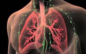 Reduir la contaminació podria prevenir un 10% la mortalitat dels pacients trasplantats de pulmó. EIX