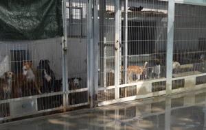 S'aprova la reforma i ampliació del Centre d’Acollida d’Animals Domèstics del Penedès. Mancomunitat