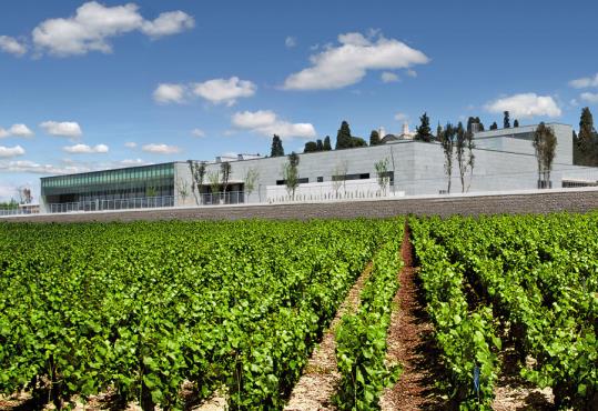 Tanatori de Vilafranca del Penedès. Àltima