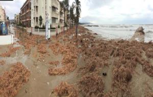 Temporal a la platja de Cubelles