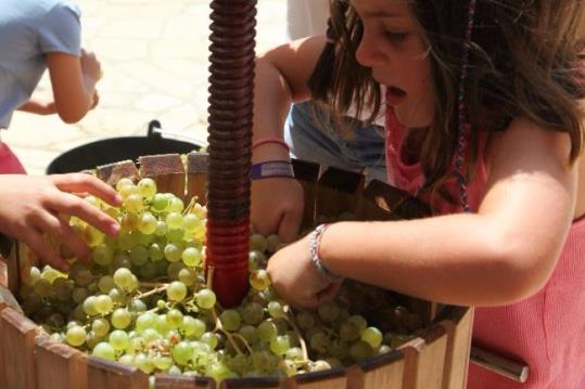 Torna La Verema del Cava, tot un mes d'enoturisme al Penedès. EIX