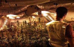 Un agent de la Guàrdia Civil, d'esquena, al garatge de la unifamiliar on van descobrir una plantació de marihuana 'indoor' a la Bisbal del Penedès. Gu