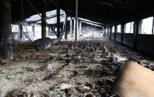 Un incendi calcina 4.500 pollastres d'una granja de Castellví de la Marca. ACN