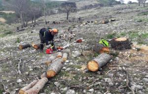 Una brigada forestal netejarà la zona cremada l’estiu passat a la muntanya del Comú. Ajuntament de Calafell