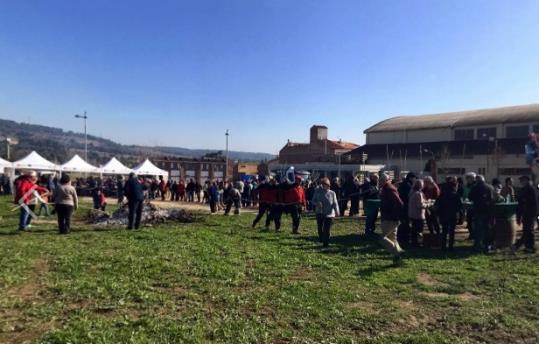 Unes 3.000 persones celebren el carnaval amb Les Torrades del Pla del Penedès. Turisme Pla del Penedès