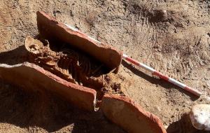 Uns ossos descoberts amb la llevantada de l'hivern revelen la ubicació d'un possible cementiri romà a Sitges