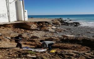 Uns ossos descoberts amb la llevantada de l'hivern revelen la ubicació d'un possible cementiri romà a Sitges