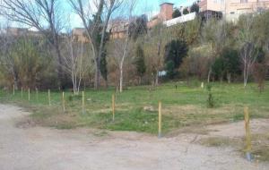 Actes vandàlics al projecte escolar de Sant Sadurní L'Hort i el Bosc de les escoles. Ajt Sant Sadurní d'Anoia