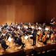 L%e2%80%99Orquestra+de+Cambra+del+Pened%c3%a8s+obre+diumenge+la+temporada+de+m%c3%basica