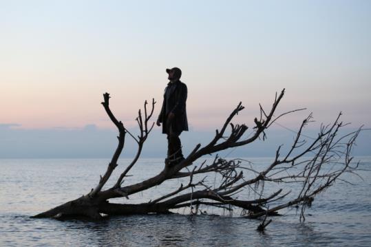 CUCULAND SOUVENIR, amb Roberto Olivan Performing Arts