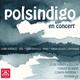Concert+Pols+Indigo