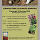 Jornada+sobre+plantes+remeieres