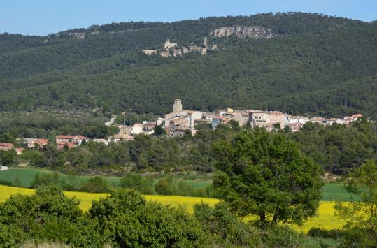 XIV Trobada de Centres d’Estudis