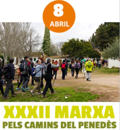 XXXII Marxa pels camins del Penedès 