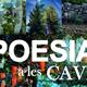 Poesia+a+les+Caves+2018