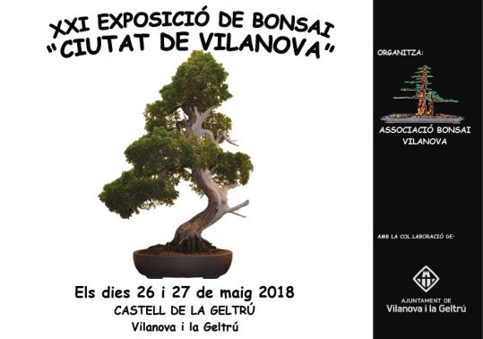 XXI Exposició de bonsai 