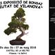 XXI+Exposici%c3%b3+de+bonsai+%22Ciutat+de+Vilanova%22