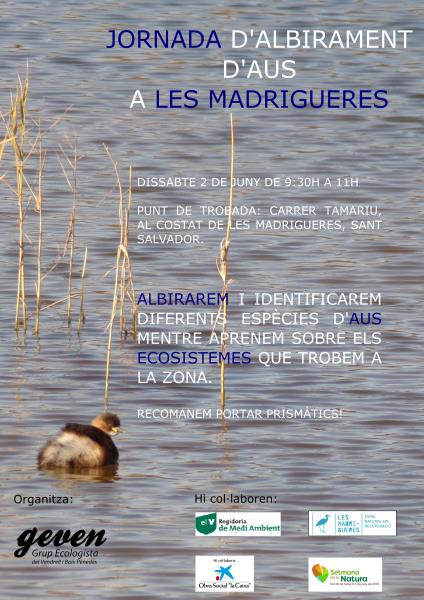 Jornada d'alliberament d'aus a Les Madrigueres