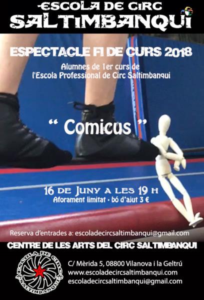 Espectacle fi de curs 1er Escola Professional de Circ