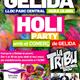 Festa+Holli+de+la+campanya+de+dinamitzaci%c3%b3+comercial+a+Gelida