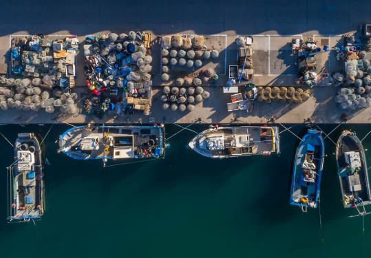 Curs de geofoto. Ciutat litoral i fotografia significativa