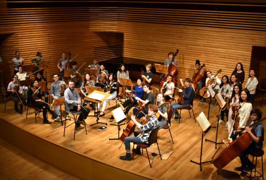 Yehudi Menhuin School Orchestra