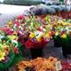 Mercat+de+Flors+de+Tots+Sants
