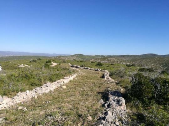 Recuperació de camí ramader a la Talaia