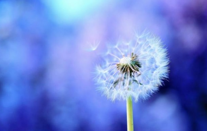 Dia Internacional de la No Violència contra les Dones a Vilanova
