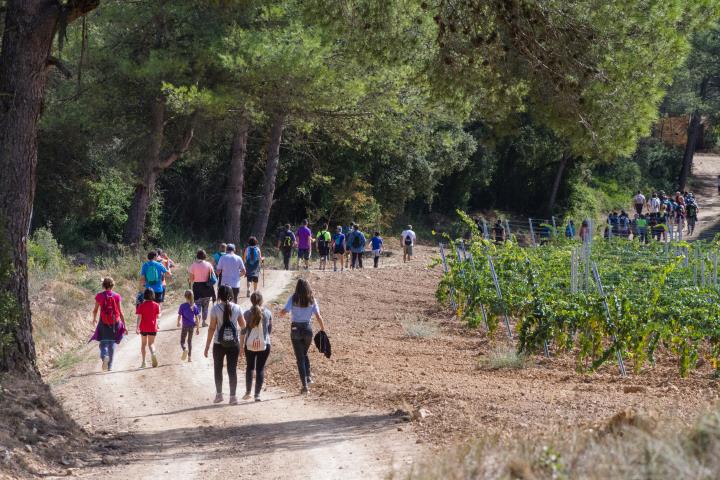 Caminada de l’Origen de la Vinya