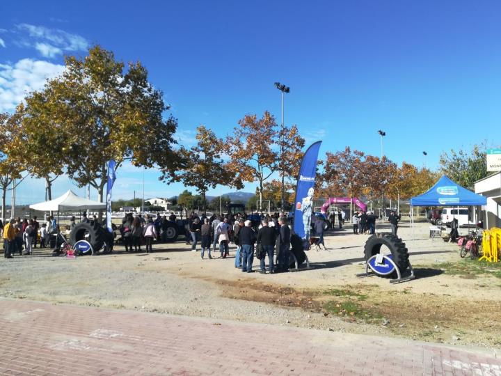 Festa del Most de la Ràpita