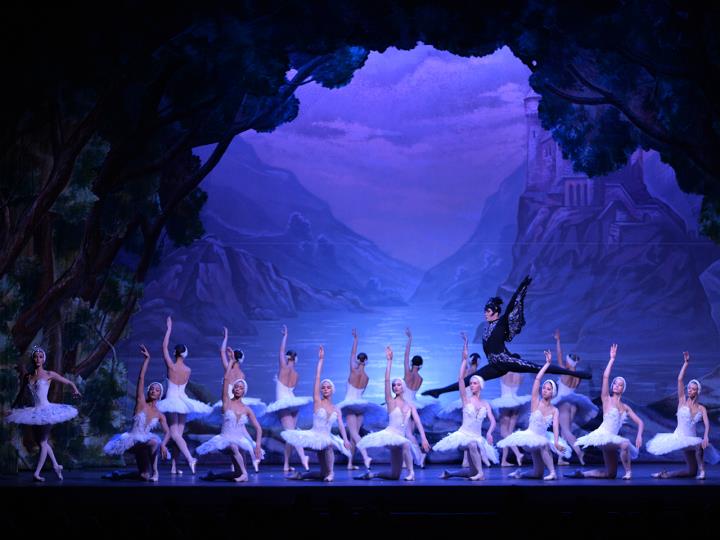 El llac dels Cignes, de Russian Classical Ballet