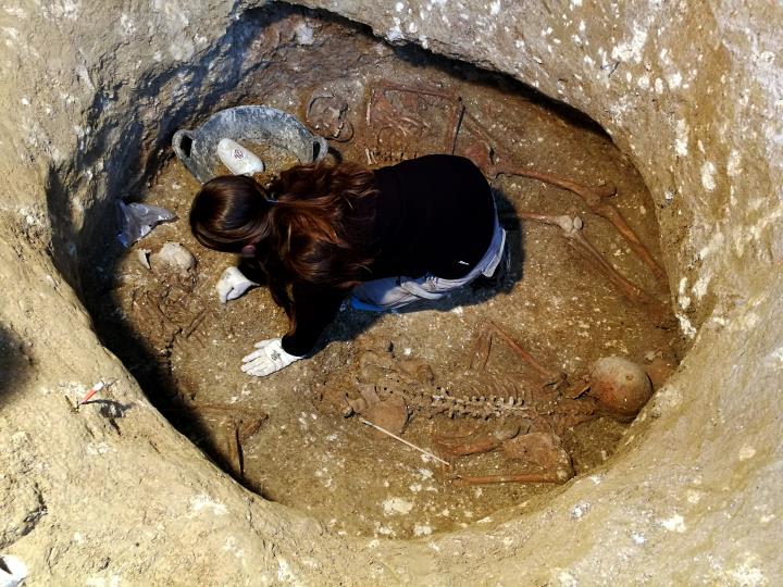 VINSEUM obre les portes a l’excavació arqueològica del cementiri medieval 